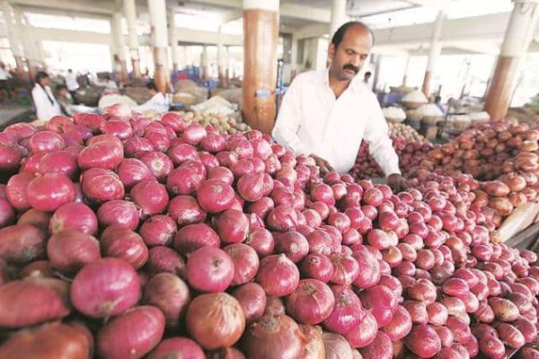 Профессиональные сервисы на кракен маркетплейс ссылка